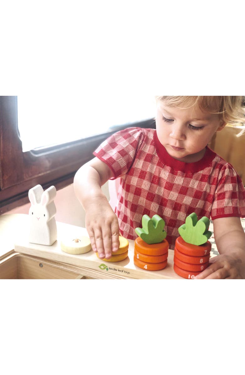 Tender Leaf Toys Counting Carrots Toy, Alternate, color, Orange