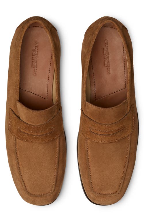 Stuart Weitzman Club Penny Loafer In Brown