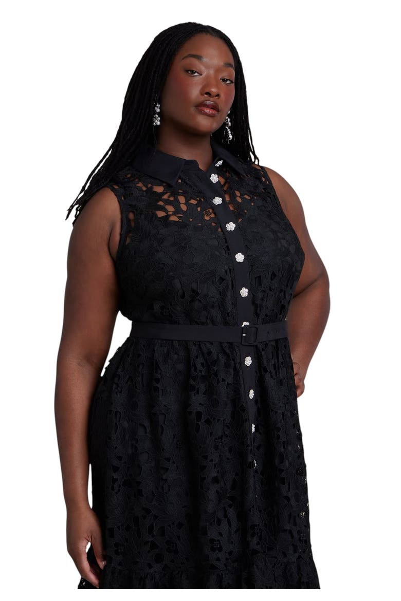 Lace Dress With Buttons & Collar, Alternate, color, BLACK ONYX