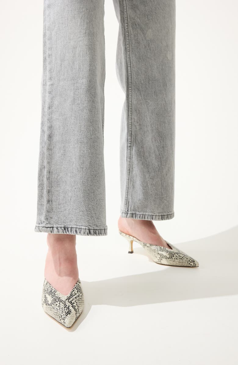 Yosi Samra Remi Pointed Toe Kitten Heel Mule, Alternate, color, Snake