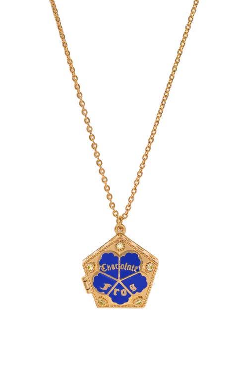 Harry Potter Chocolate Frog Locket Pendant Necklace