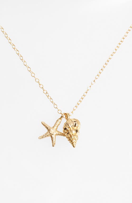 Kiara By Ki-ele Ki-ele Sea Star & Shell Pendant Necklace In Gold