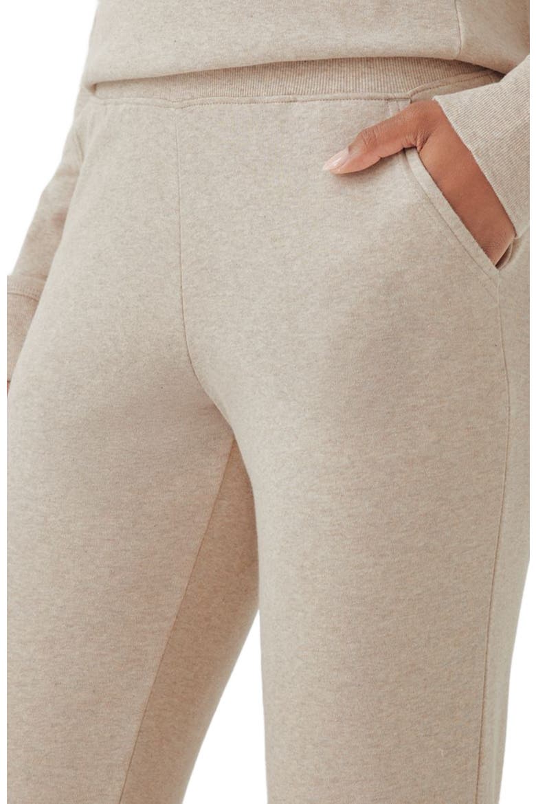 Classic Organic Cotton Airplane Joggers, Alternate, color, Wheat Heather