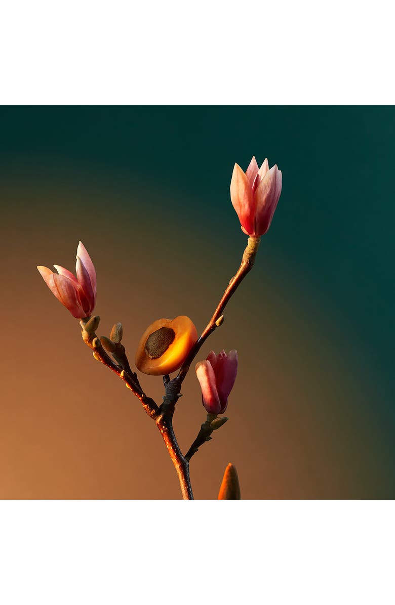 Penhaligon's Vra Vra Vroom Eau de Parfum, Alternate, color, 