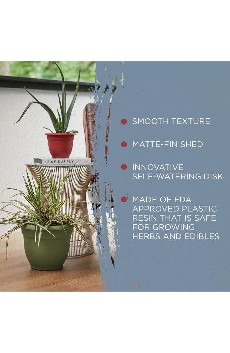 Bloem 16 Inch Ariana Pot Planter, Alternate, color, Green