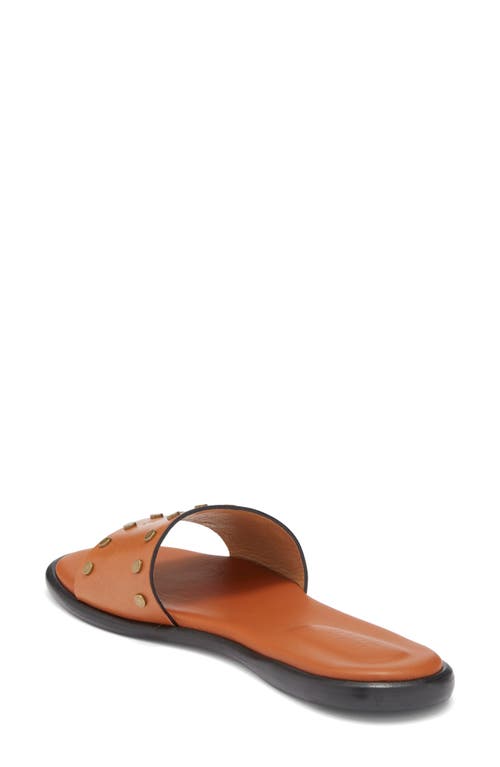 Isabel Marant Vikee Logo Slide Sandal In Brown
