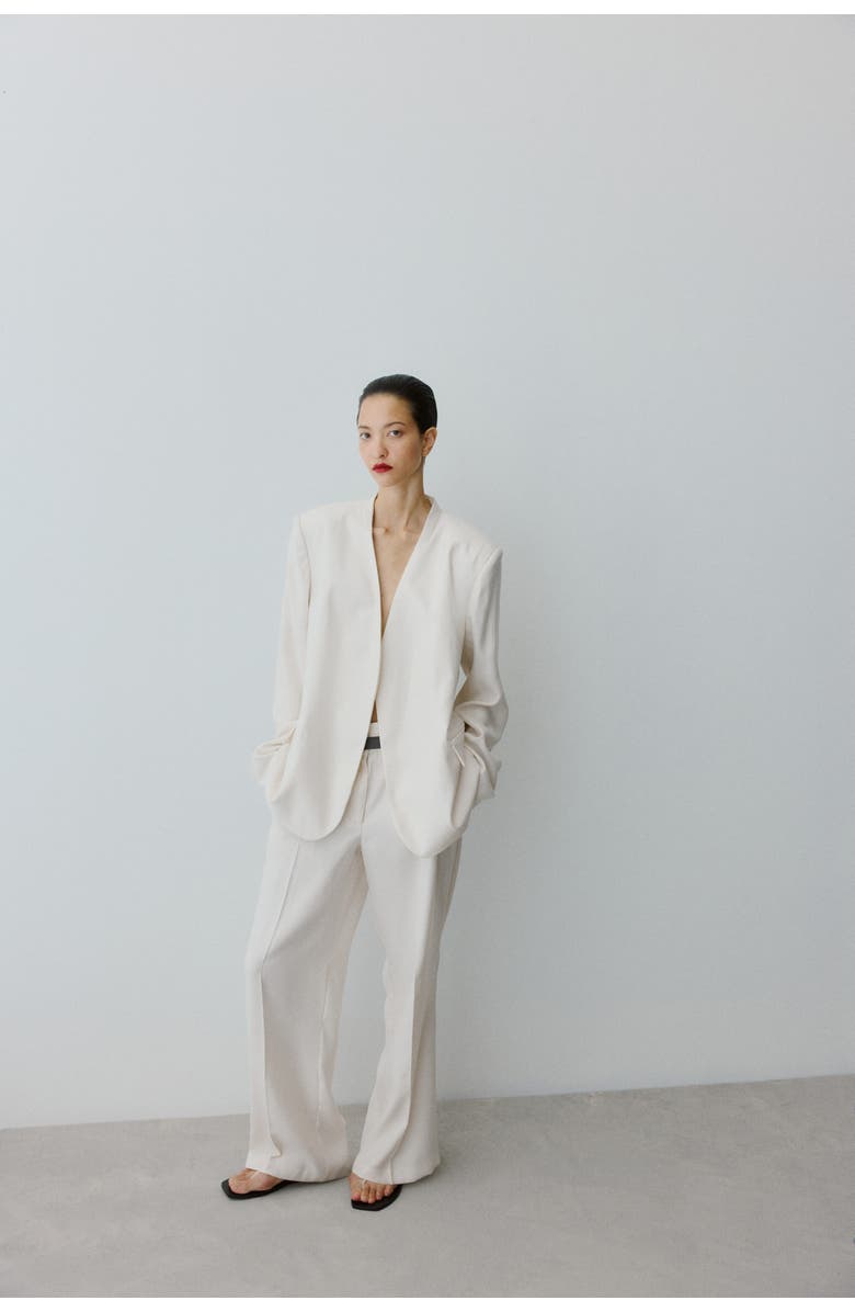 H&M Belted Tailored Trousers, Alternate, color, 