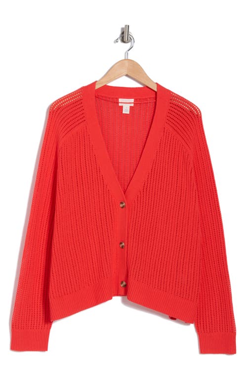 CASLON CASLON® POINTELLE V-NECK CARDIGAN