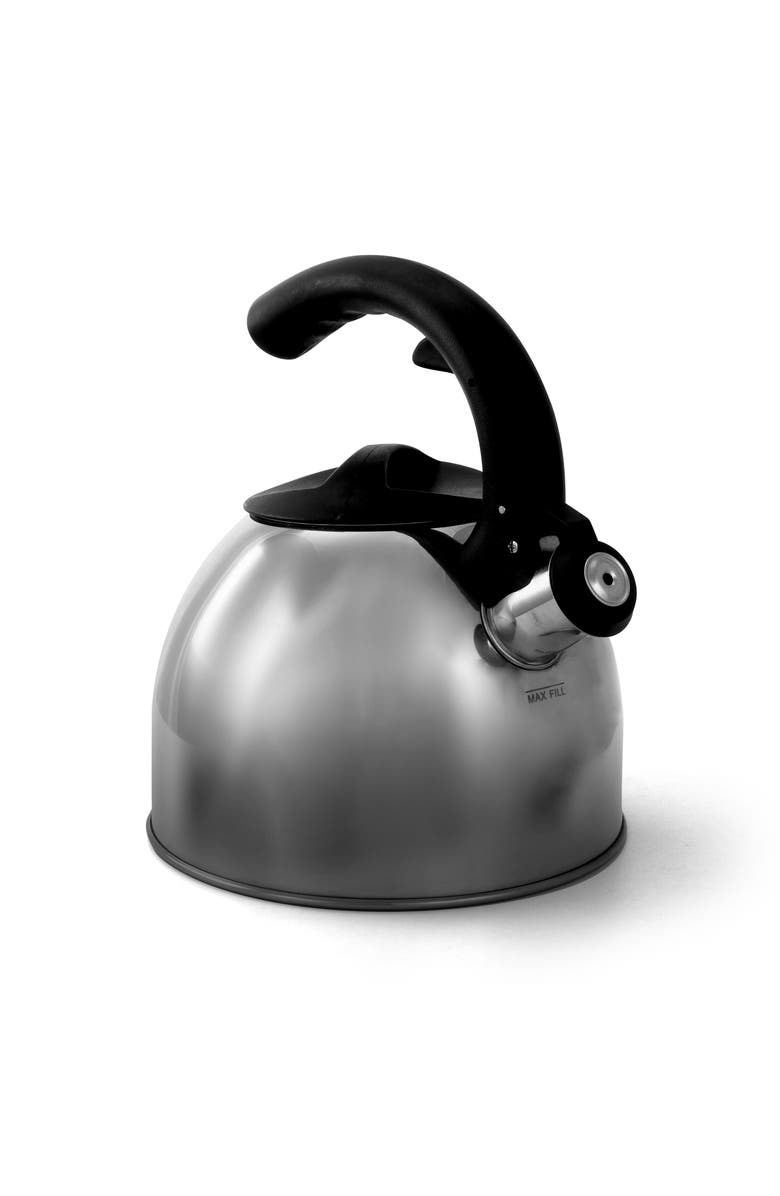 MR COFFEE Steamline 2 Quart Tea Kettle, Main, color, Metallic Silver