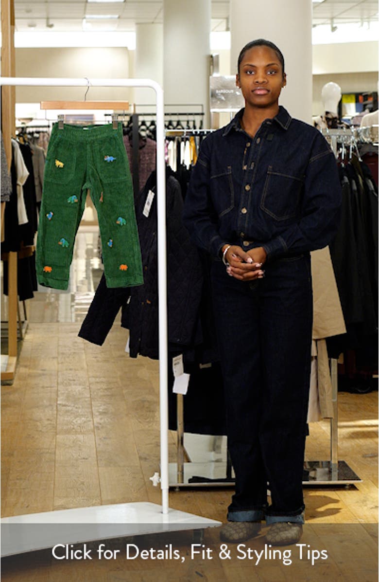 Kids' Dino Embroidered Corduroy Pull-On Pants, sales video thumbnail