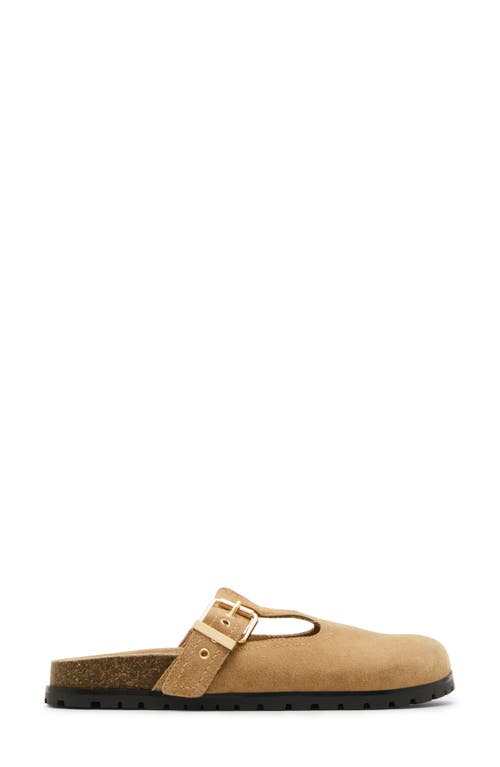 Steve Madden Atticus Clog In Taupe Suede