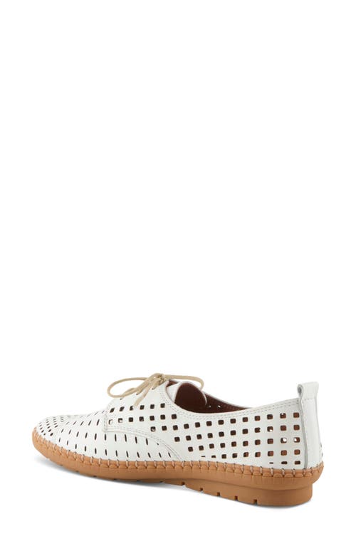 SPRING STEP SPRING STEP DEYSI PERFORATED DERBY