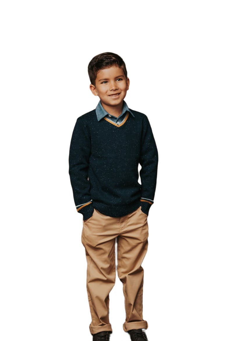 Boys' Organic V-Neck Sweater, Kids, Main, color, Navy Fleck with Tipping