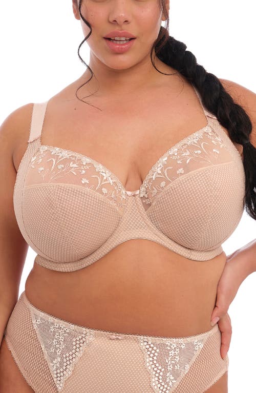 Elomi Charley Full Figure Underwire Plunge Bra in Fawn at Nordstrom, Size 40Dd