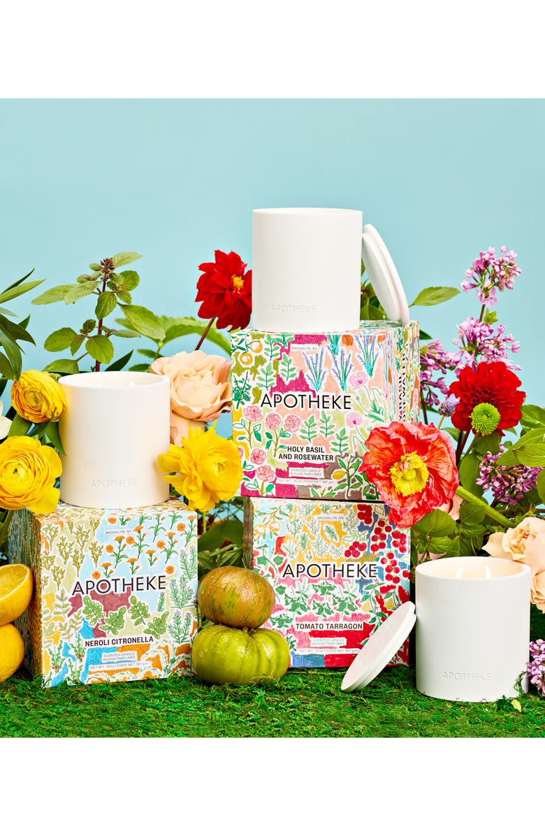 APOTHEKE Tomato Tarragon 2-Wick Concrete Candle, Alternate, color, 