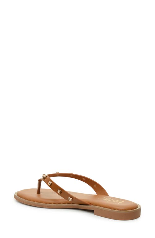 Nicole Miller Studded Thong Sandal In Tan