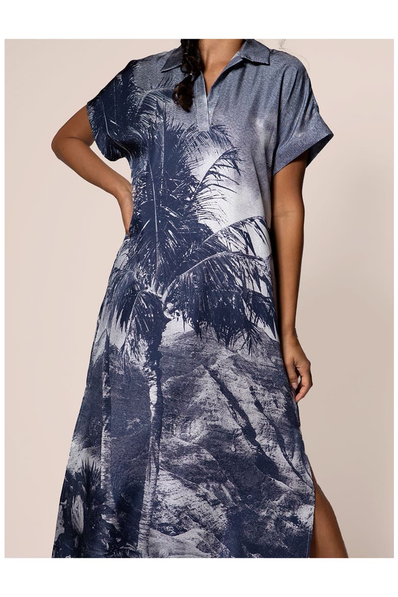 Waimea Canyon Alana Caftan Dress, Alternate, color, Navy