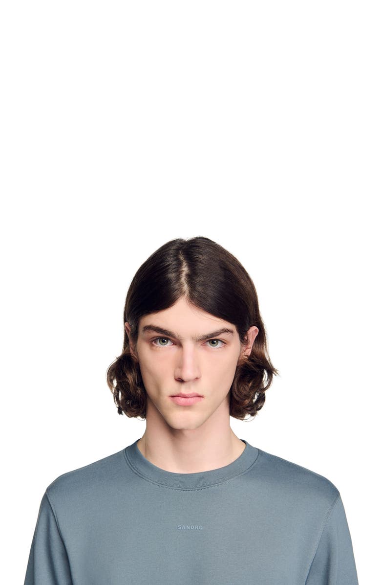 SANDRO Logo sweatshirt, Alternate, color, Grey / Blu