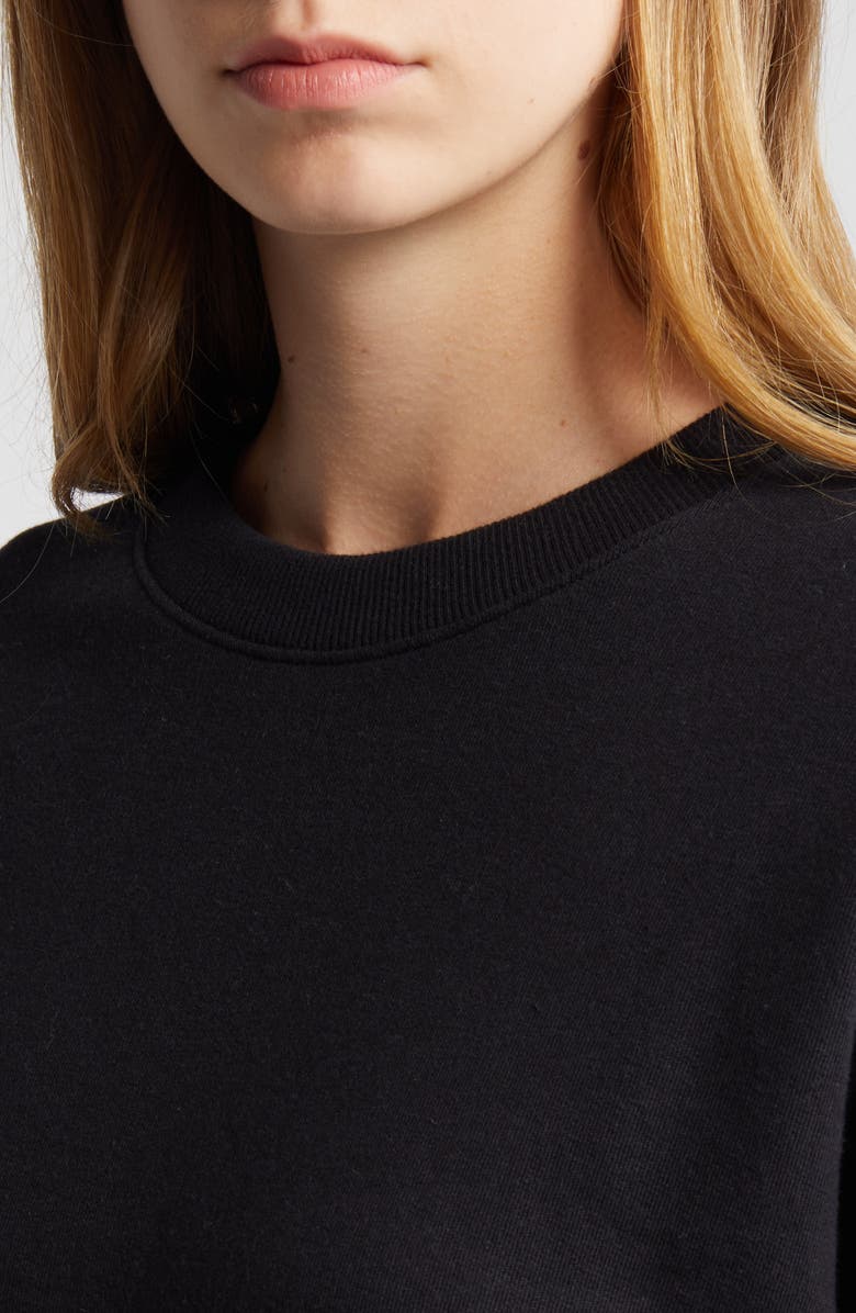 Nation LTD Jovie Crewneck Sweatshirt, Alternate, color, 