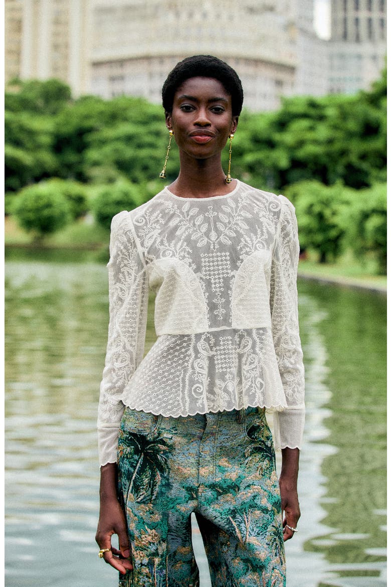 Tulle Embroidered Long Sleeve Top, Alternate, color, OFF-WHITE