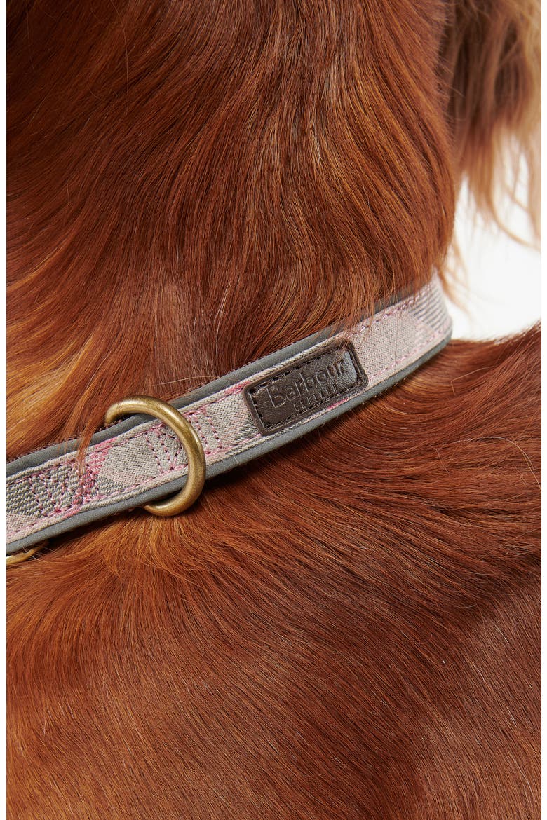 Reflective Tartan Dog Collar, Alternate, color, TAUPE/ PINKDNU