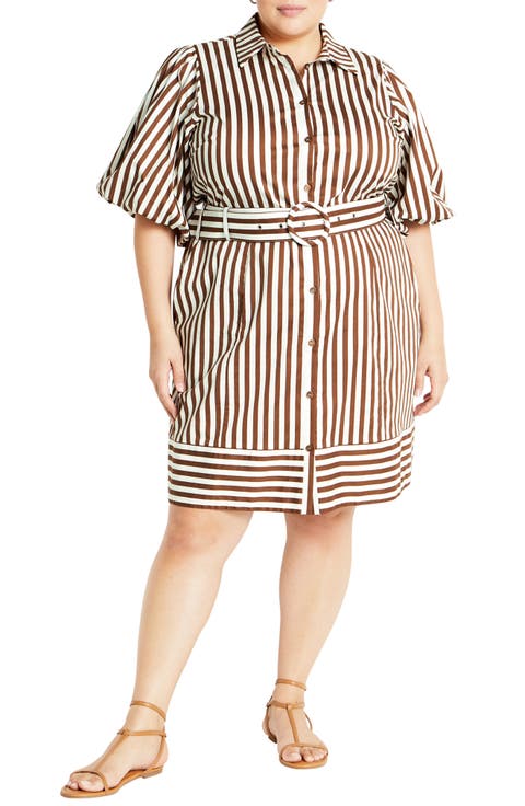 May Stripe Stretch Poplin Shirtdress (Plus)