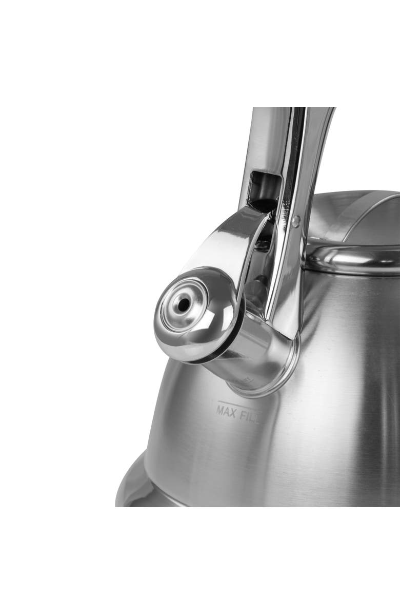 Mr. Coffee 1.8 quart Stainless Steel Whistling Tea Kettle, Alternate, color, Metallic Silver