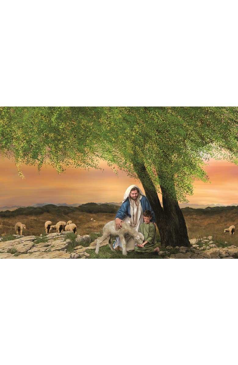 Sunsout Feed My Lambs 1000 piece Jigsaw Puzzle for Adults, Alternate, color, Multicolor