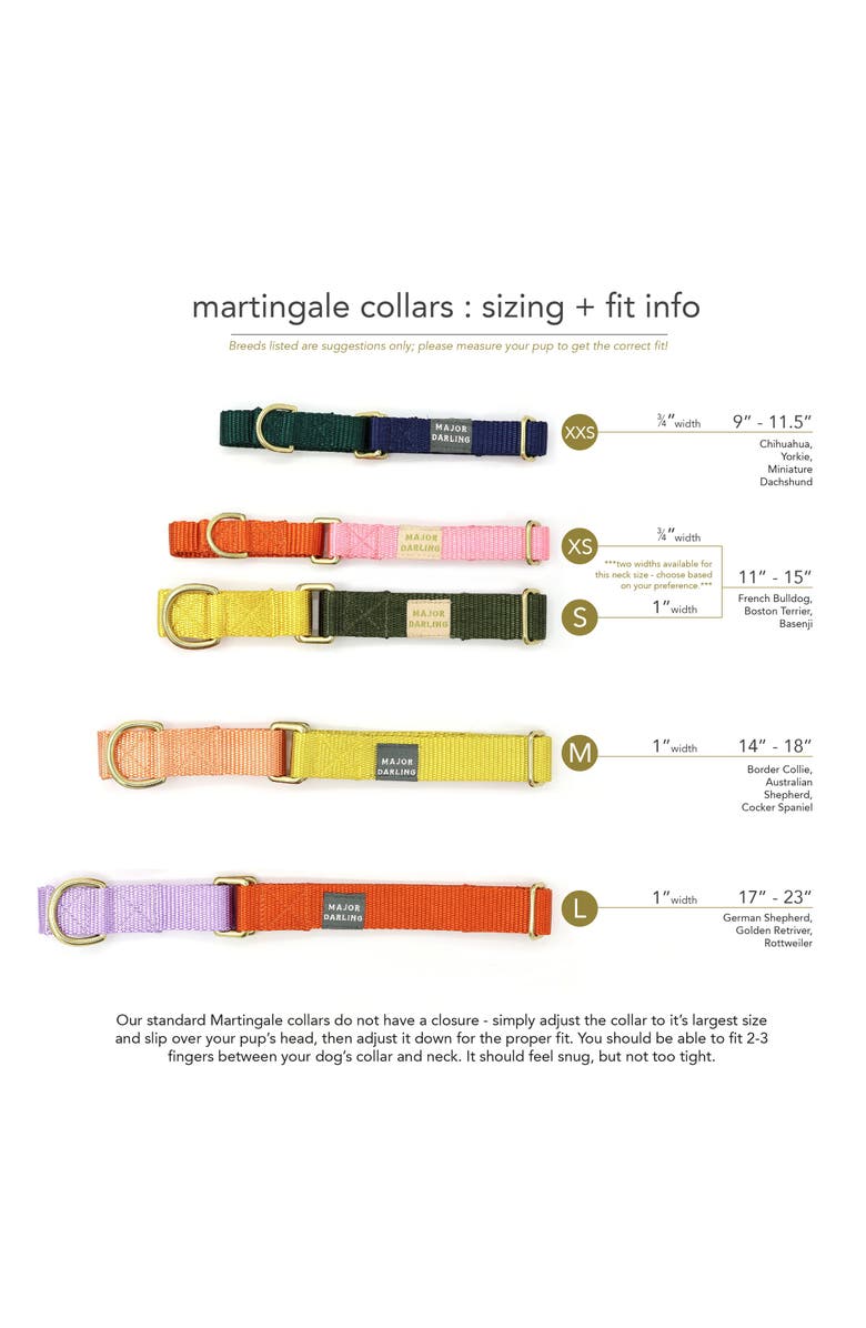 Major Darling Martingale Dog Collar, Alternate, color, Cobalt + Navy - S