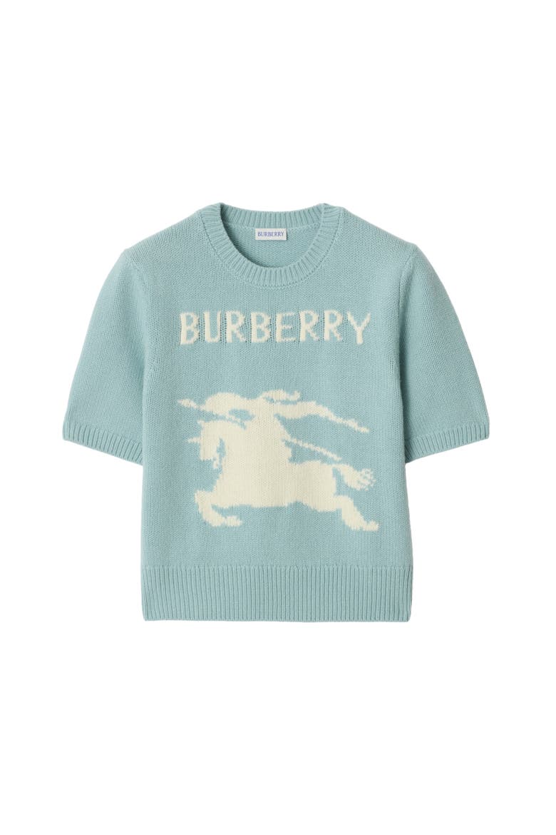 Knight Wool Cashmere Top, Alternate, color, Eggshell blue