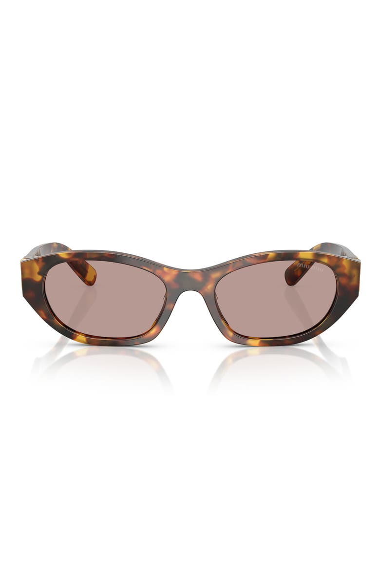 53mm Oval Sunglasses, Main, color, HONEY HAVANA / PURPLE BROWN