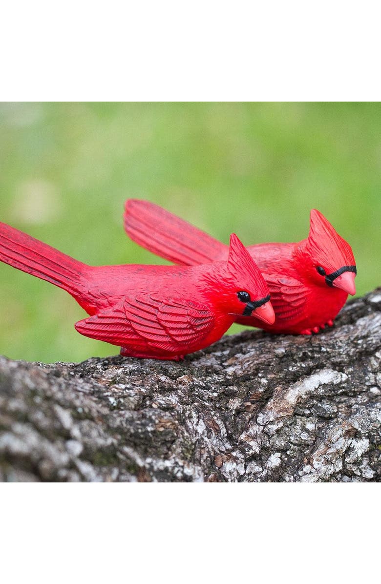 Safari Ltd. Cardinal Toy, Alternate, color, NO COLOR