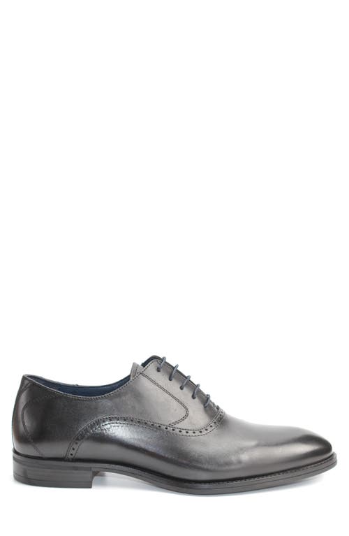 Vellapais Bristol Plain Toe Oxford In Black