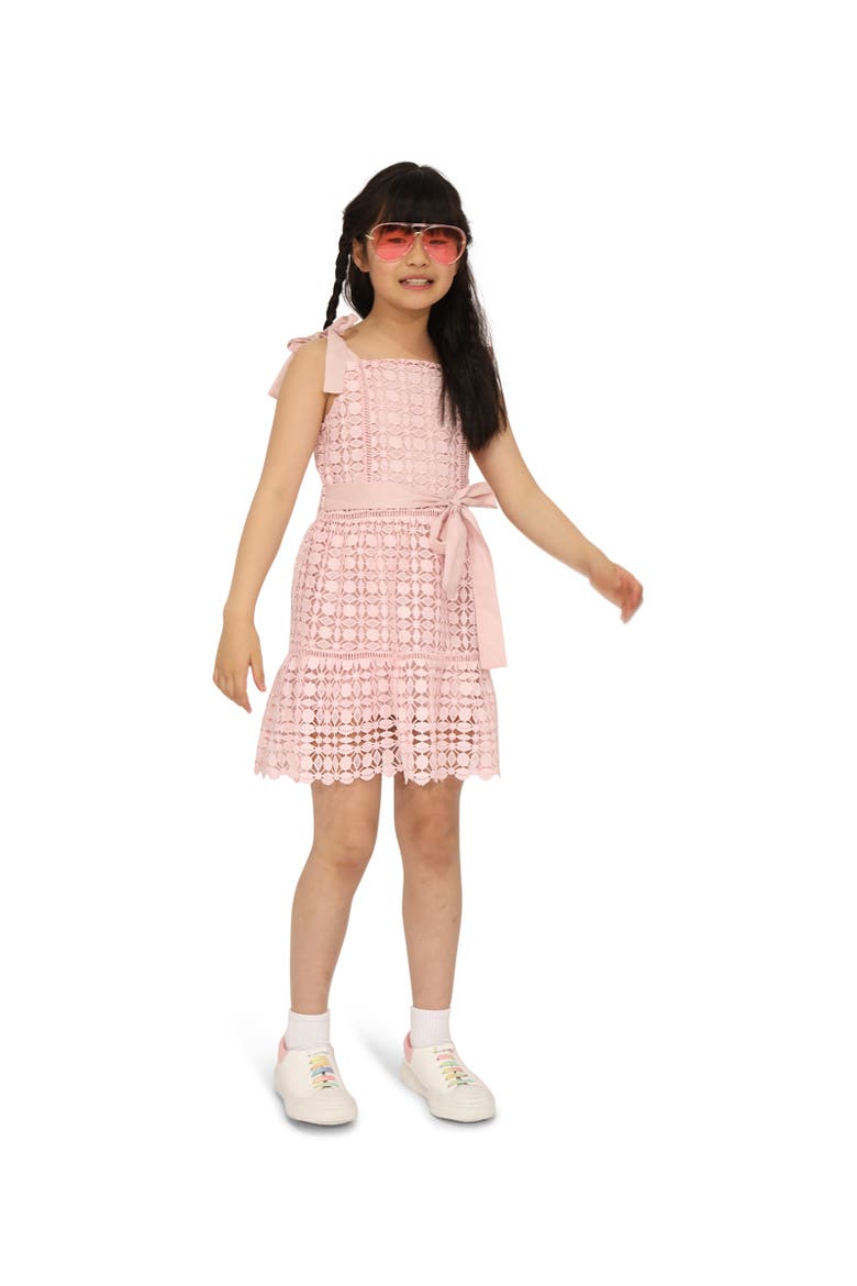 Rosy Mini Lace Dress, Main, color, Dusty Rose