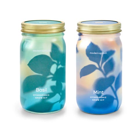 Garden Jar 2pk