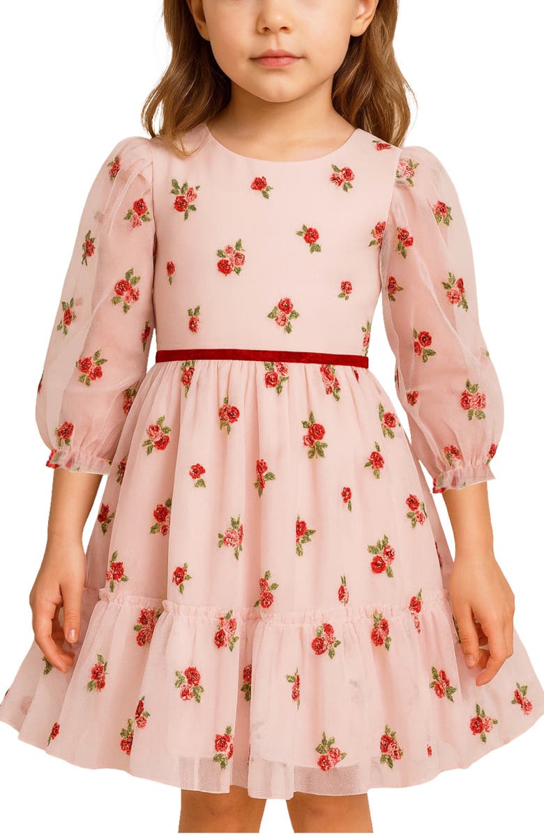 Zunie Kids' Floral Embroidered Mesh Tiered Party Dress, Alternate, color, Pink