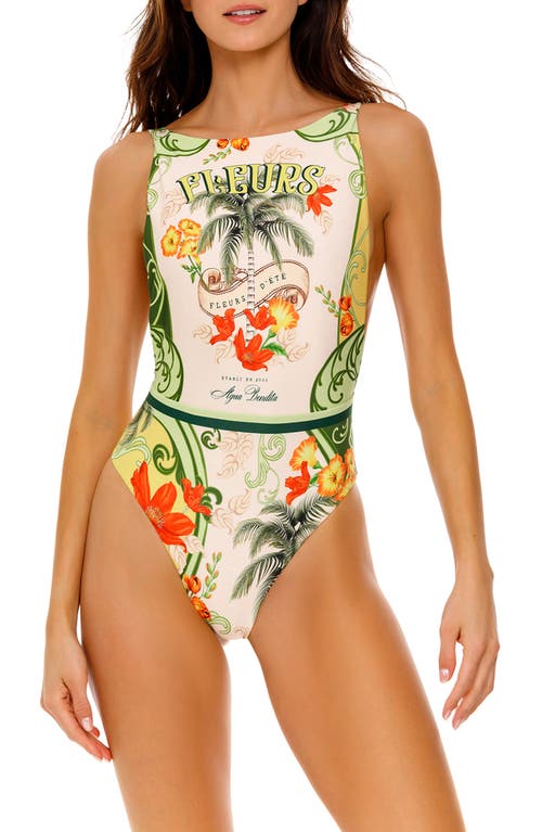 Agua Bendita Domenica One-piece Swimsuit In Green Multi