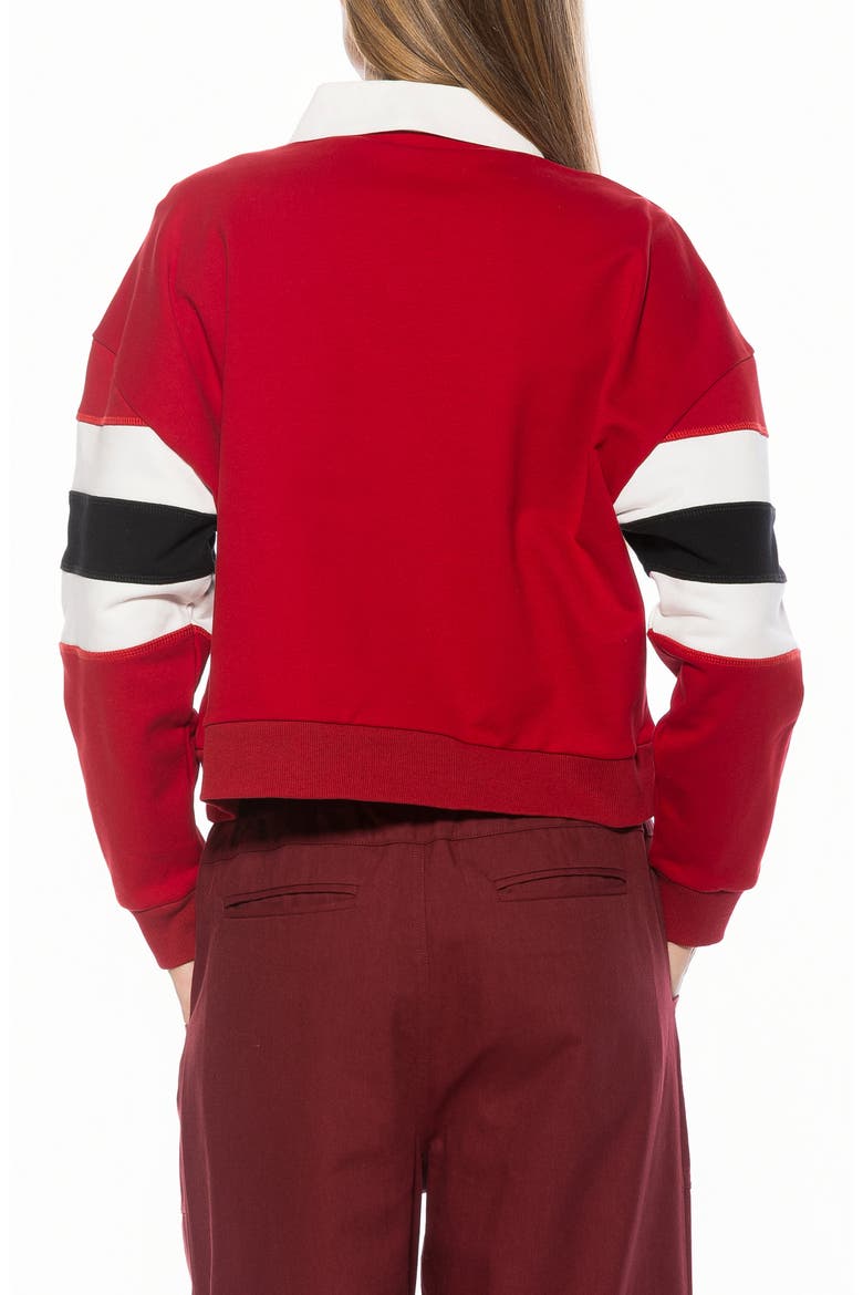 Lucian Branded Rugby Polo Sweatshirt, Alternate, color, BURGUNDY MULTI