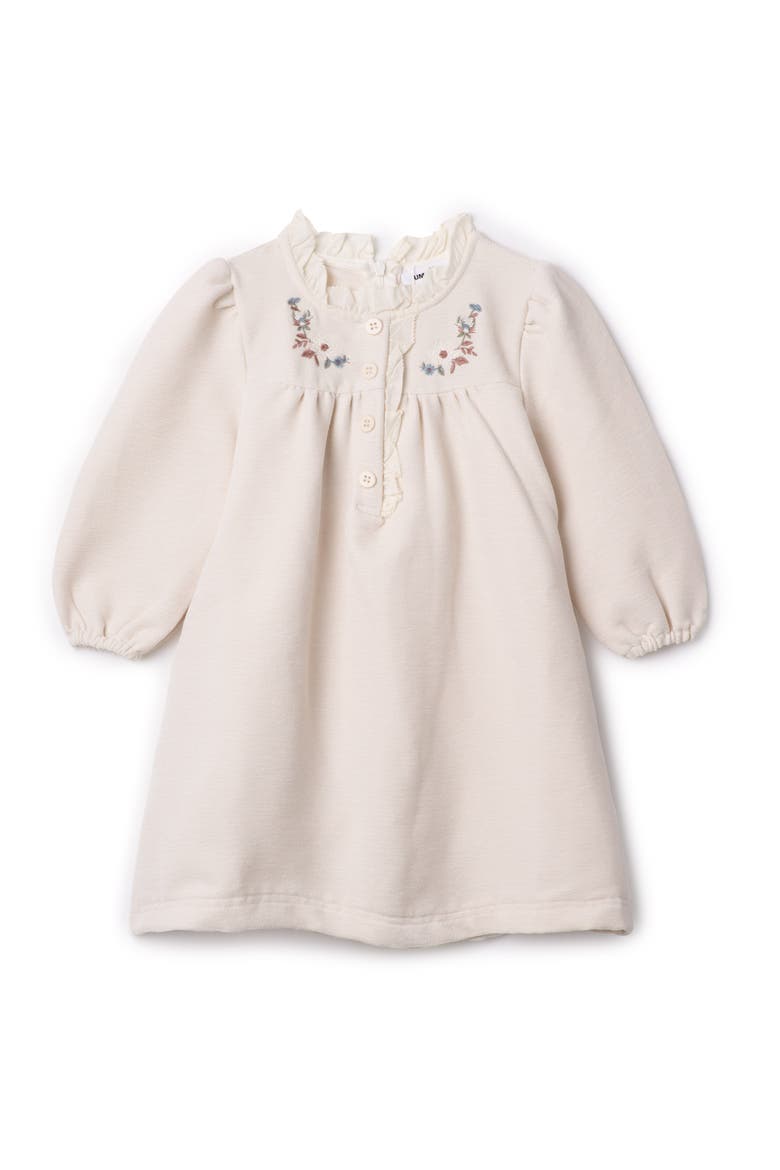 Velvet Floral Embroidered Button Front Dress, Main, color, Off White
