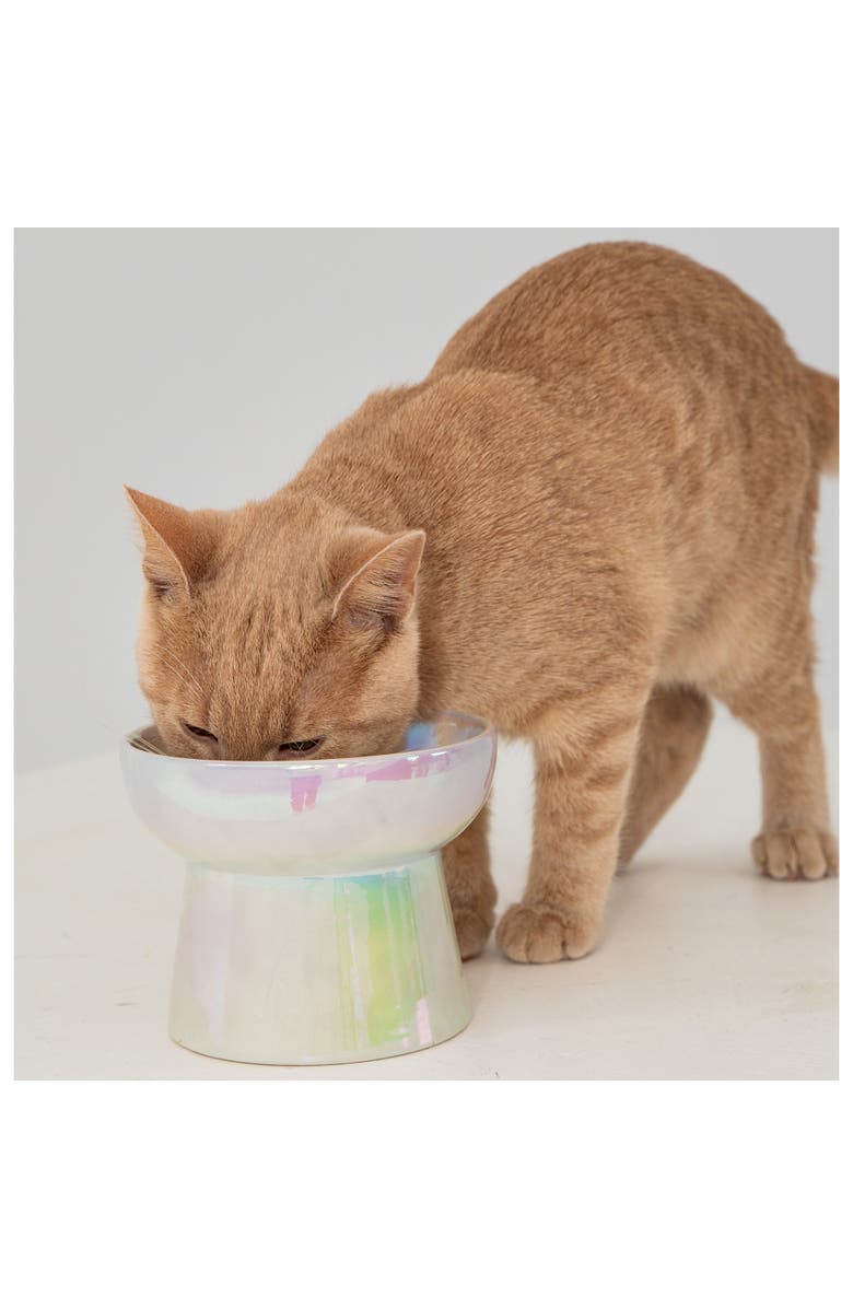 Dexypaws Elevated Ceramic Bowl For Cats Iridescent 7Oz Capacity, Alternate, color, Off-White