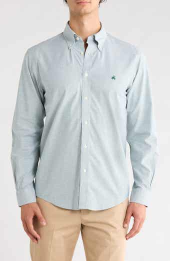 Regular Fit No Iron Button Down Collar Shirt