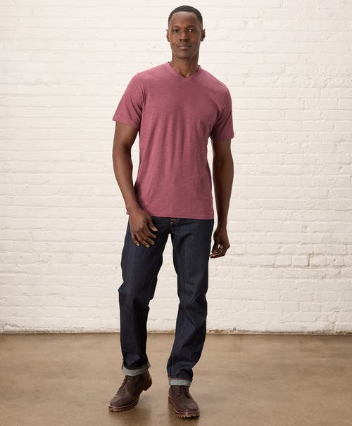 Pact Organic Cotton Featherweight Slub V-neck Tee In Mauve