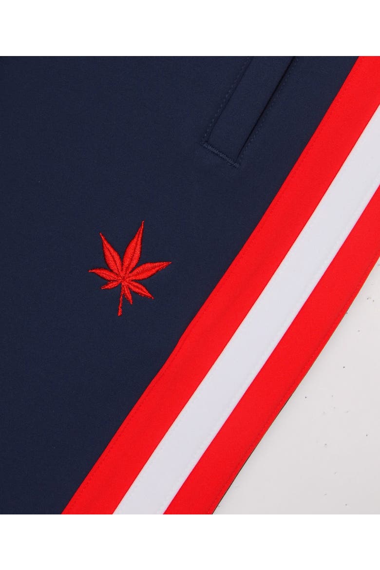 Tipped Warm-Up Pant 2.0, Alternate, color, Navy Red White