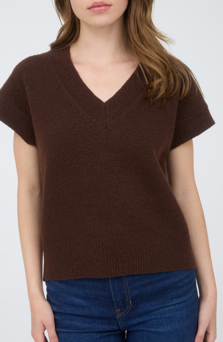 Blu Pepper V-Neck Sweater Vest, Main, color, Brown