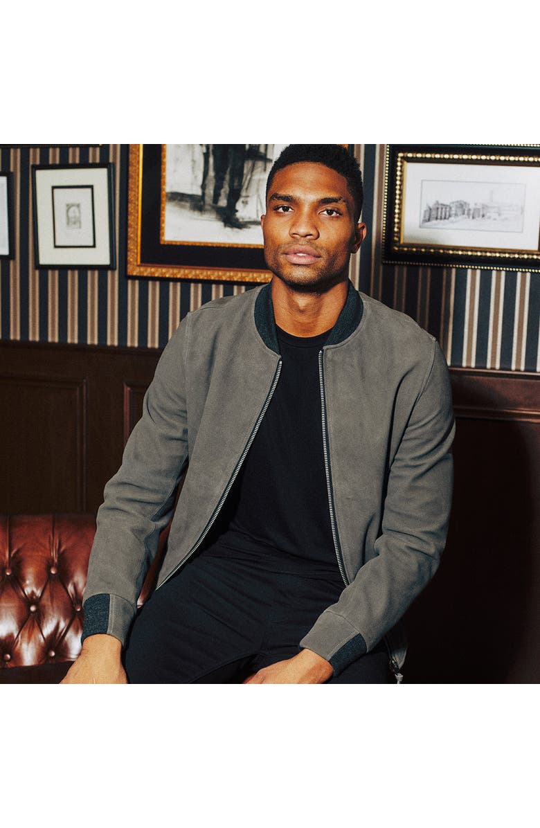 Last Wolf ELK BOMBER JACKET, Alternate, color, Grey