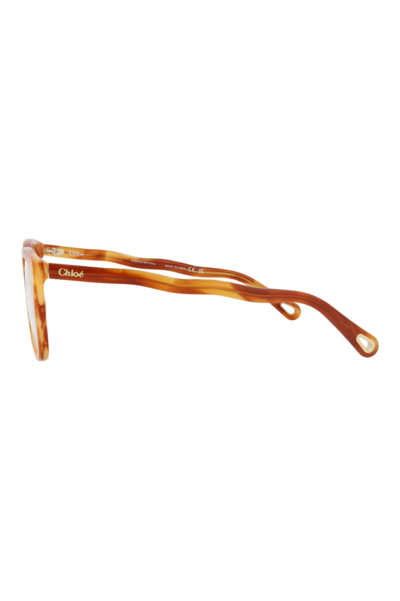 52mm Rectangular Optical Glasses, Alternate, color, HAVANA HAVANA TRANSPARENT