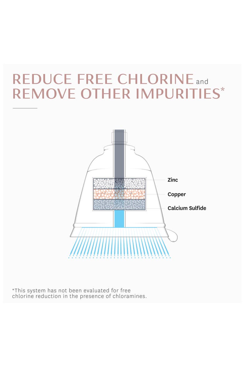 Source Showerhead Replacement Filter, Alternate, color, BROWN