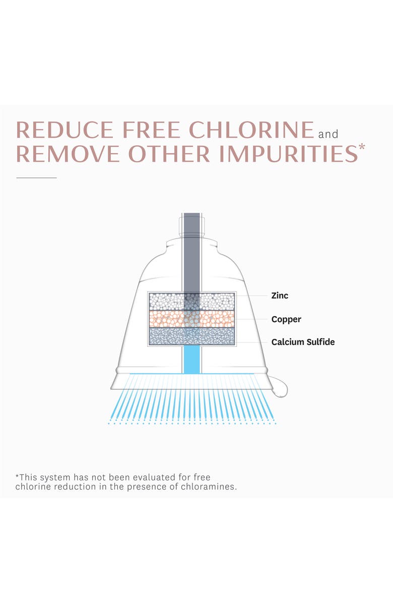 T3 Source Showerhead Replacement Filter, Alternate, color, Brown