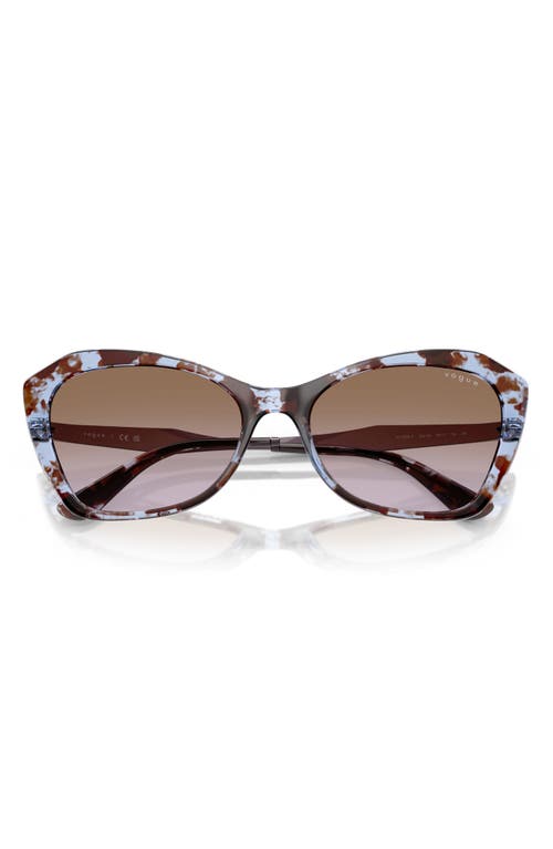Vogue 56mm Cat Eye Sunglasses In Blue Havana