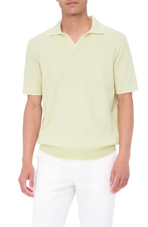 Tipped Johnny Collar Polo